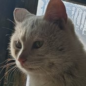 TaKuki 的头像